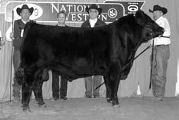 LIMOUSIN NWSS Reserve Grand Champion Bull EXLR TOTAL DOMINANCE 8008 601 94 90% H PLD H BLK 2/8/2007 EXLR 8008T NXM-1871463 GPFF BLAQUE RULON........ CARROUSELS PURE POWER TUBB FIRST CLASS 666F.