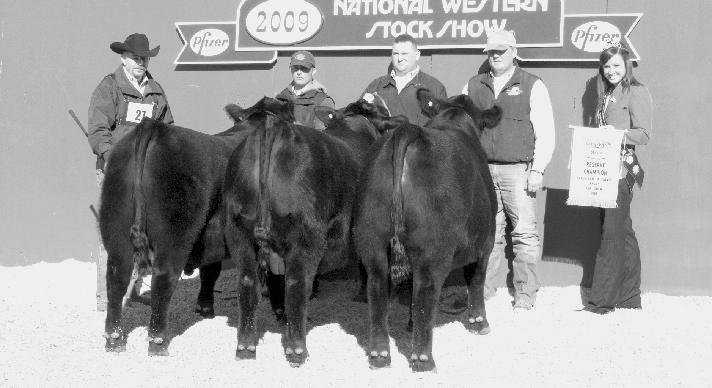 2009 Angus Reserve Champion Early Spring Calves