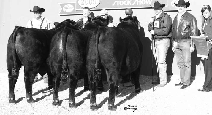 2009 Yearling Champion Angus Pen National
