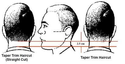 Taper-trimmed at the back, sides, and above the ears. Not more than 1.5 cm in length (when you remove the headdress, it cannot fall below the top of the eyebrows).