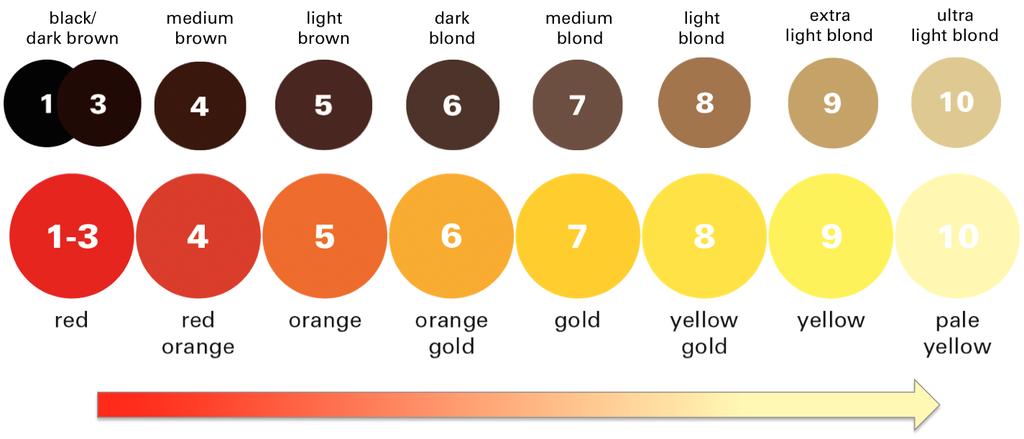 If the target shade level is three levels or more then the natural level, the colorist must know the underlying pigment at the target level.