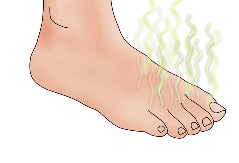 Acetic Acid Butanoic Acid Why do feet 3-methylbutanoic Acid smell so bad? Bacteria, Fungus & Sweat Bacteria and fungi inhabit the surfaces of our skin, our pores and sweat glands.