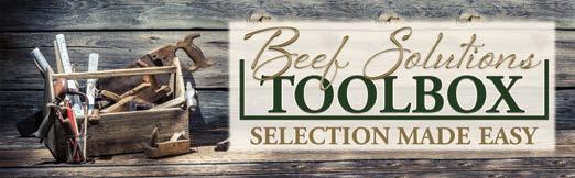The Beef Solutions Team will once again offer the user-friendly toolbox in this year s sale book to help you in your buying decisions.