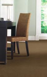 By selecting SmartStrand carpets for your remodel or renovation projects, you receive: Better Selection of Styles and
