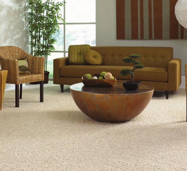 Innovation There s a good reason why Mohawk has been a trusted name in carpets for more than 125 years.