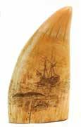 *135. LARGE TOOTH WITH WHALING SCENES. A very heavy and near solid tooth that measures 7 h. x 3 5/8 w.