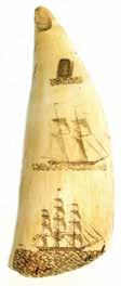 *4. LARGE INITIALED AND DATED SCRIMSHAW TOOTH carved on each side with three separate scenes. One side with a sloop at the top, a brig in the center and an American ship at the bottom.