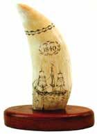 Nicely shaped tooth engraved one side with a quality depiction of the starboard side of an American ship that includes a full view of its stern.