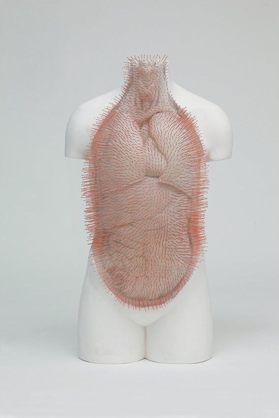 Anatomical Chest #2, 2016 Plaster, Wax, Acupuncture
