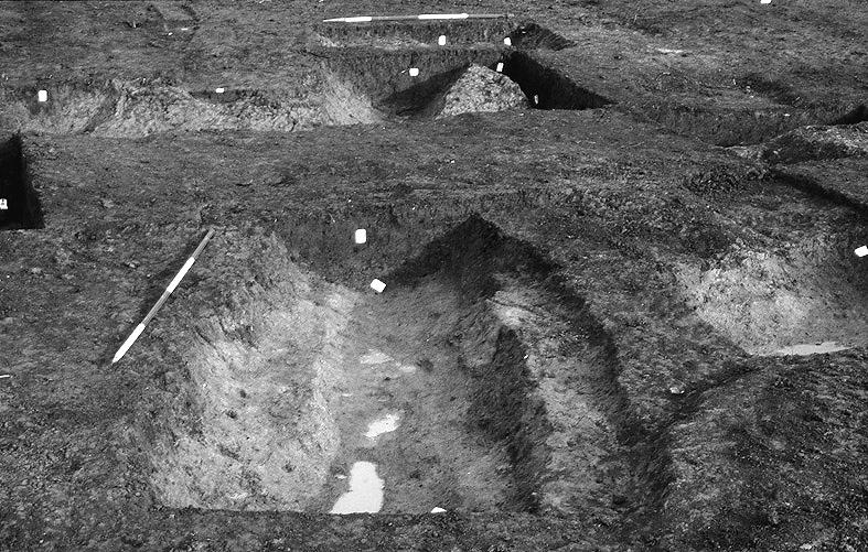 In the central part of the excavation area, two parallel ditches mirror the earlier boundaries, redefining the strip plots but shifted west (Fig. 10, ditches 132 and 266).