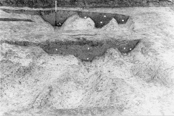SOMERSET ARCHAEOLOGY AND NATURAL HISTORY, 2004 Fig. 15 Site 2, ditches 13, 18 and 21 cut by ditch 66; view east upper infill of ditch 13 and the handle of a large stone mortar (Fig.