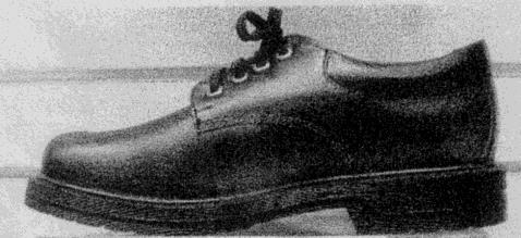 SCHOOL SHOES Plain black, laceup, polishable shoes to be worn.