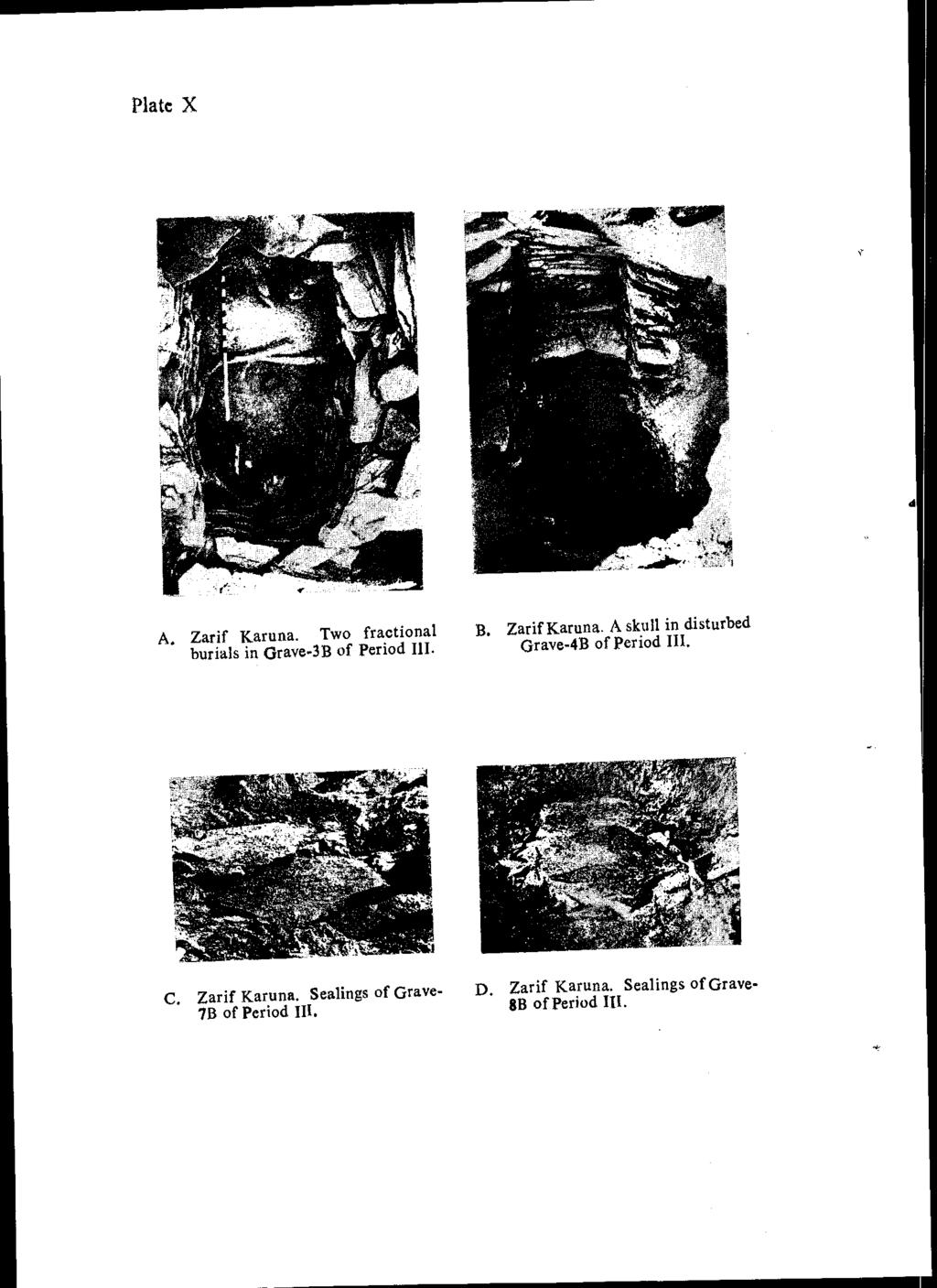 Plate X A. Zarif Karuna. Two fractional burials in Grave-3B of Period 111. B. ZarifKaruna.