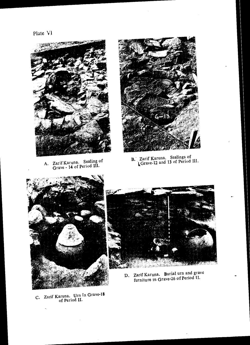 Plate Vl A. ZarifKaruna. Sealing of Grave- 14 of Period III. B. Zarif Karuna. Sea!ings of L,Grave-12 and 13 of Period Ill.