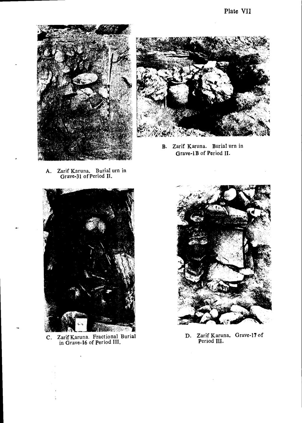Plate VII B. Zarif Kanma. Burial urn in Grave-IB of Period II. A. Zarif Karuna.