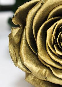 AS GOOD AS GOLD Preserved in gold and resin Goldgenie roses are perfectly preserved in 24k gold, platinum and resin making sure they will literally last forever, each Rose takes approx.