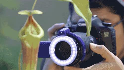 3D Printed Camera LED Ring Created by Ruiz