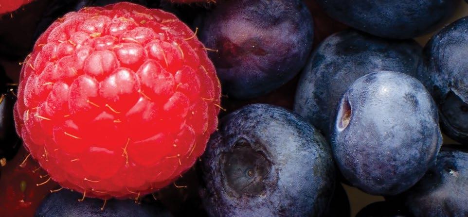 SUPER NEW Antioxidant Boost Inner health for outer beauty 8 Berry Blend Super Fruits (Goji &