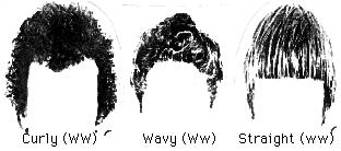 Hair Type Determination Hair Shape: Chromosome #7 contains the genetic code for hair type.
