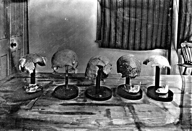 Skulls found at Coldrum