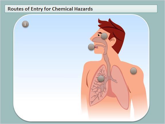 1.6 Routes of Entry for Chemical Hazards Click on parts of the human body to review how controlled products can enter your system, and what preventative measures you should take.