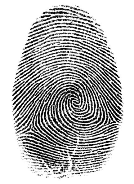Fingerprints Every person on has a unique set of fingerprints (no two are the same, even identical twins have different fingerprints)!