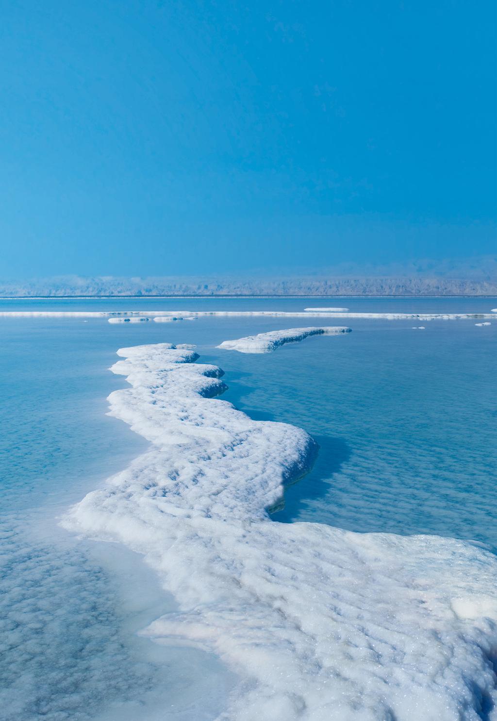 THE DEAD SEA The true secret to our success lies in the mineral-rich Dead Sea. As the lowest point on earth, 1,388 feet below sea level, it is one of the world s most saline bodies of water.