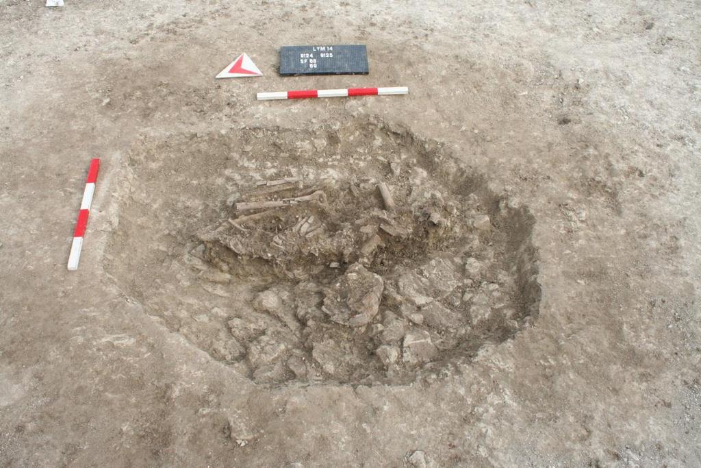 Results Bronze Age Beaker burial A completely unexpected discovery made in Trench 2 was a crouched inhumation burial on an N-S alignment accompanied by grave goods - a pottery accessory vessel and