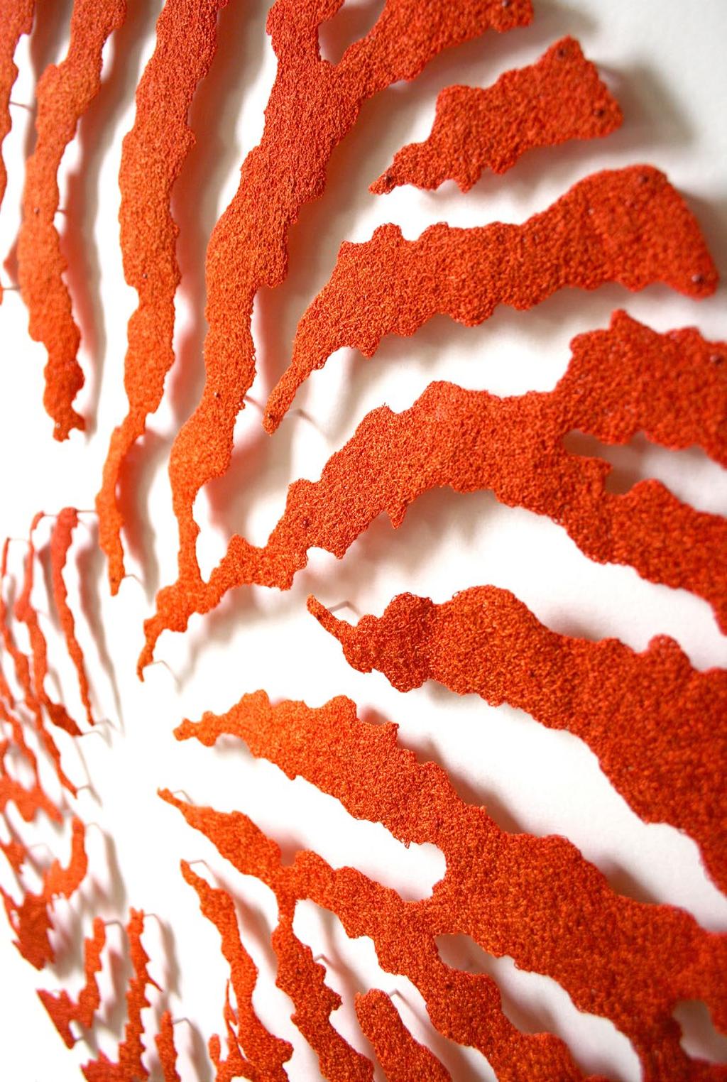 Black Fan Coral, by Meredith 103x92cm Orange Nautilus (detail) by Meredith.