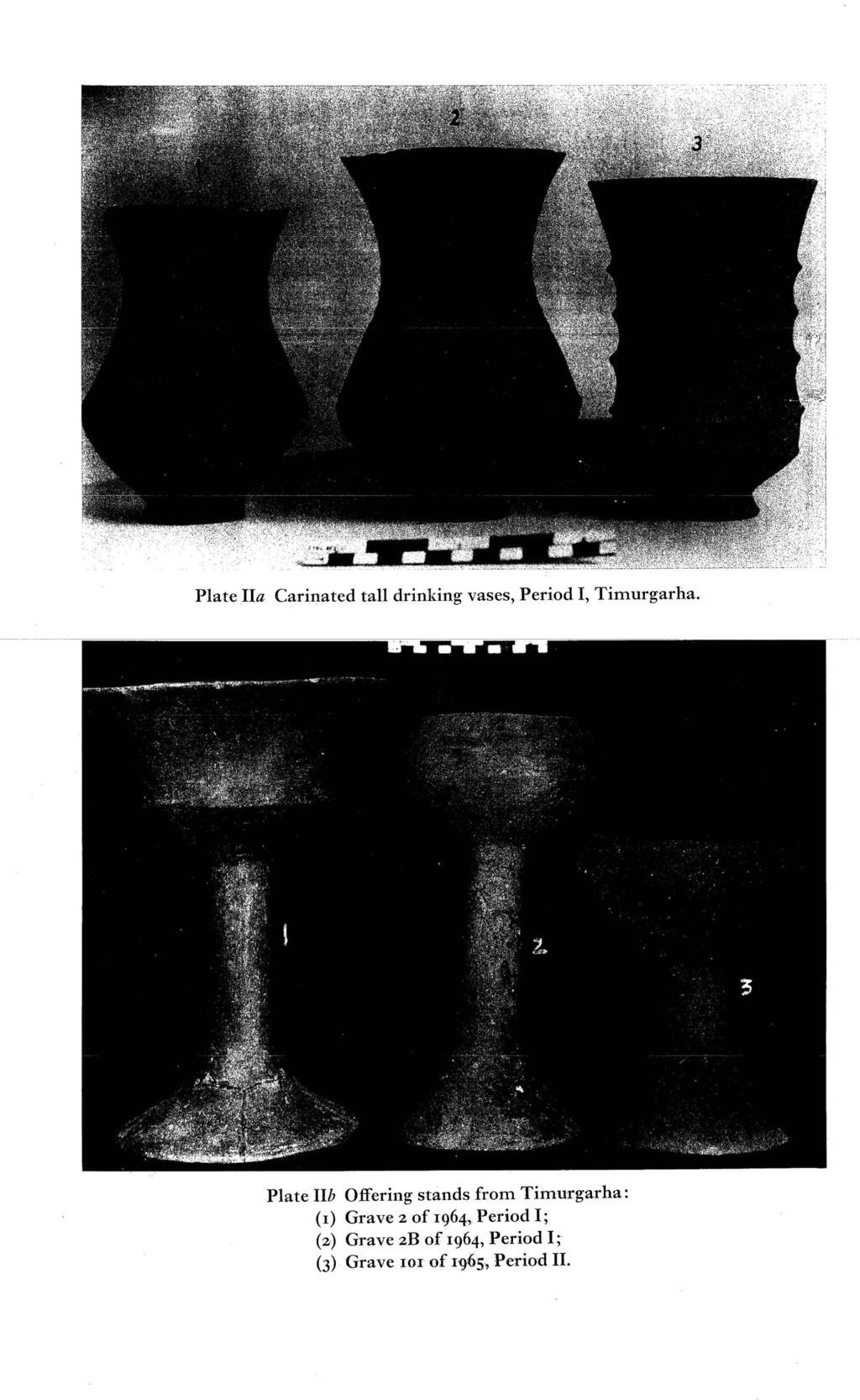 Plate IIa Carinated tall drinking vases, Period I, Timurgarha.