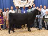 LOOKOUT RIDGE FARM Saras Dream Family Selling One-Half Interest and Full Possession the new owners will be partners with Silveira Bros., Firebaugh, CA. This female was the 2016 Res.