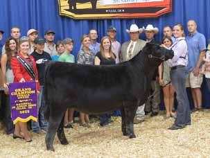 LOOKOUT RIDGE FARM Missie Family PVF MISSIE 7251 She sells as Lot 11. PVF MISSIE 5216 The 2016 Res. Grand Champion Female of the NJAS and dam of Lot 11.