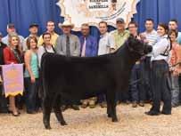 35 This featured heifer by the GENEX Beef AI sire, Eathington Sub Zero, stems back to the 2016 National Junior Angus Show Res. Grand Champion, the 2016 Res.