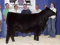 the 2014 North American International Livestock Exposition Grand Champion Female and the 2015 Fort Worth Stock Show Grand Champion female.