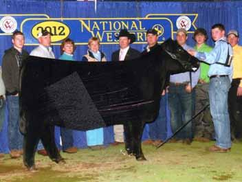 Maternal sisters to the dam includes the 2011 Res. Winter Heifer Calf Champion of the National Western Stock Show, Cherry Knoll Ark Pride 1024 who was also the Res.