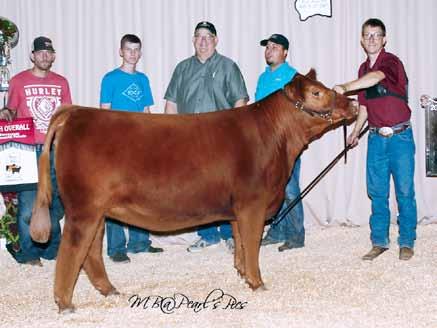 LOOKOUT RIDGE FARM Simmental Genetics SIMMENTAL CMFM SIOUX 15SD She sells as Lot 73 The 2017 Res. Division Champion of the Fort Worth Stock Show and the 2017 Res.