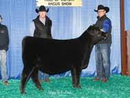 Grand Champion Female NJAS whose daughter sells as Lot 11.