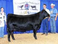 2016-2017 ROV Show Heifer of The Year who sells as Lot 6.