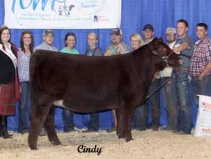 Spring Heifer Calf Champion at the National Western Stock Show in 2017, a 2017 Class Winner at the National Junior Shorthorn Show and the 2017 Grand Champion Shorthorn Heifer at the Colorado State