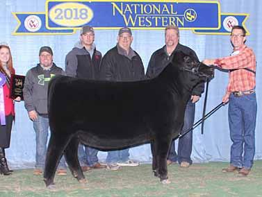 Spring Heifer Calf Champion NWSS who sells as Lot