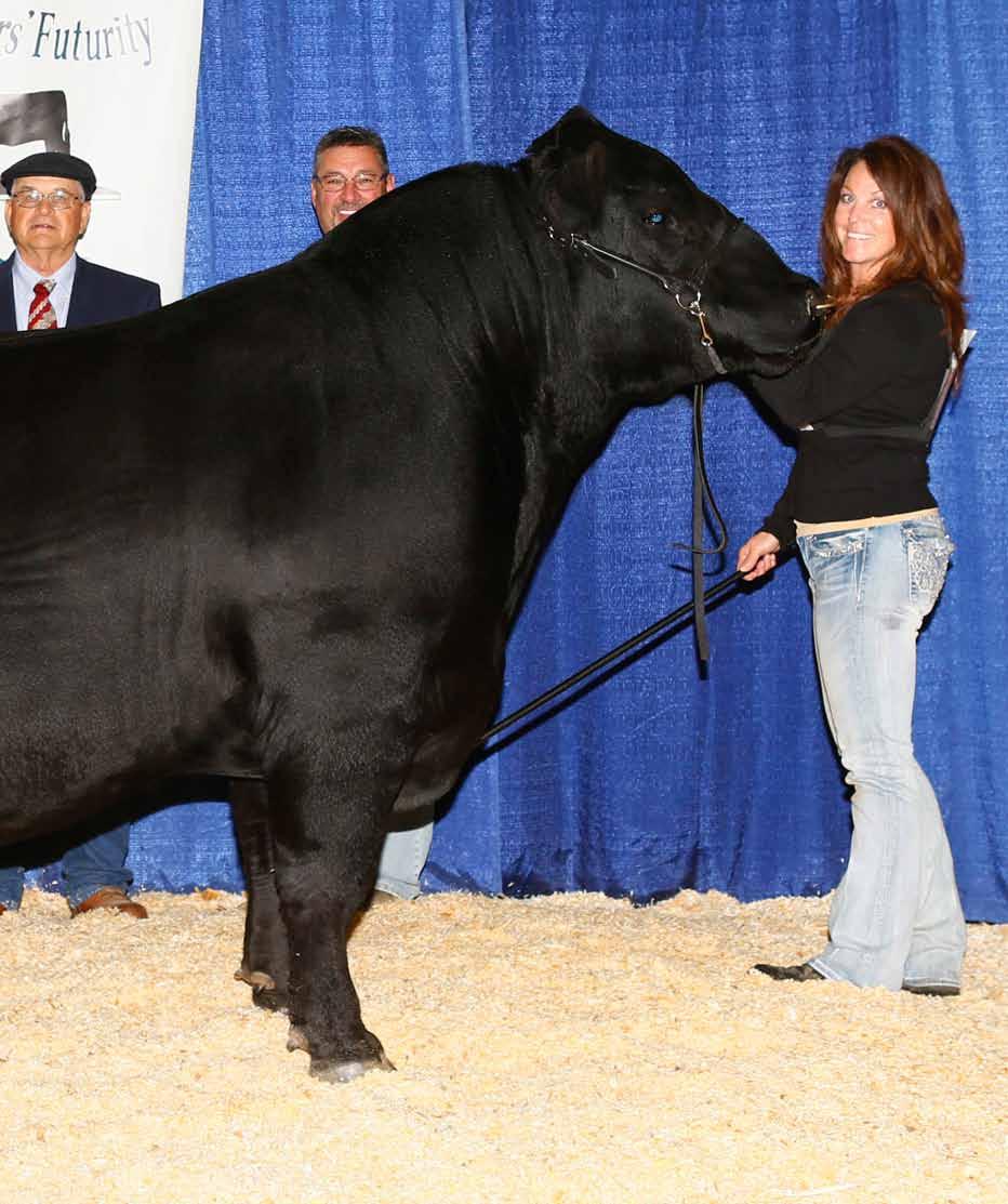 2017-2018 ROV Show Bull of the Year A SCC Tradition of 24 DOB: 5/15/2015 AAA: 18239065 Tattoo: 524 SAV Brilliance 8077 Wright SCC Bootlegger 0522 SCC Phyllis 052 Dameron First Class SCC Royal