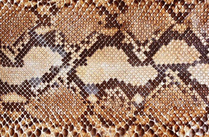 MPL offers various snake skin types such as Hardwick's snake, Common Cobra, Russell s viper, Masked water snake, Tiger snake or Common water snake, Common Salt water snake, Karung or