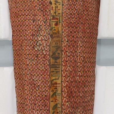 Figure 84. Overview of mummy cover.