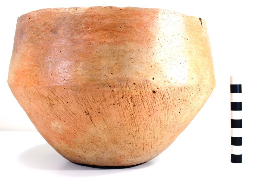 30 Figure 21. Poynor Brushed carinated bowl, Burial 4 at the Vanderpool site.