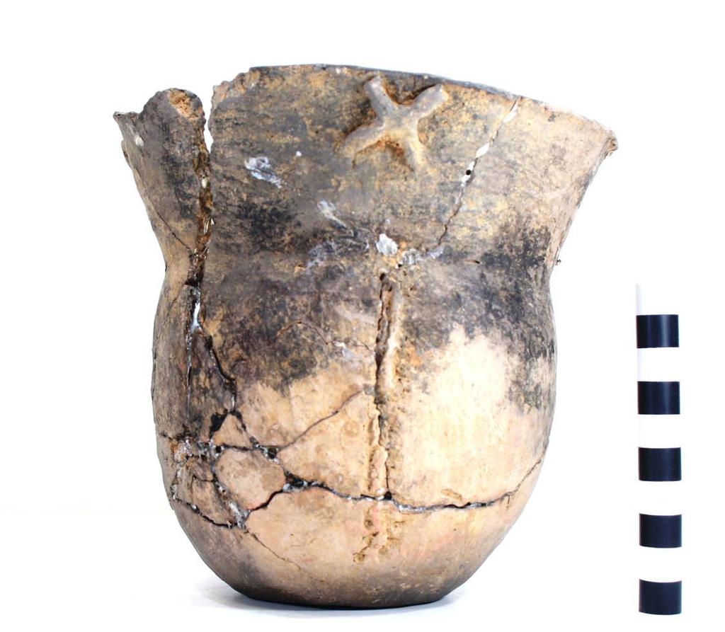 38 Figure 27. Appliqued-pinched jar, Burial 4 at the Vanderpool site. PIGMENT USE AND LOCATION ON VESSEL: none TYPE AND VARIETY [IF KNOWN]: Unidentified utility ware VESSEL NO.: 2003.