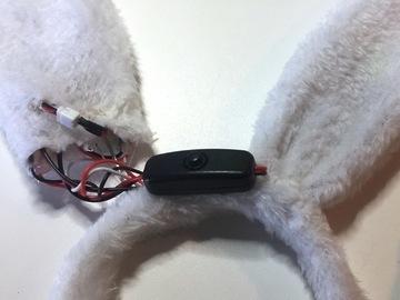 Place the switch on the back of the headband between the ears.