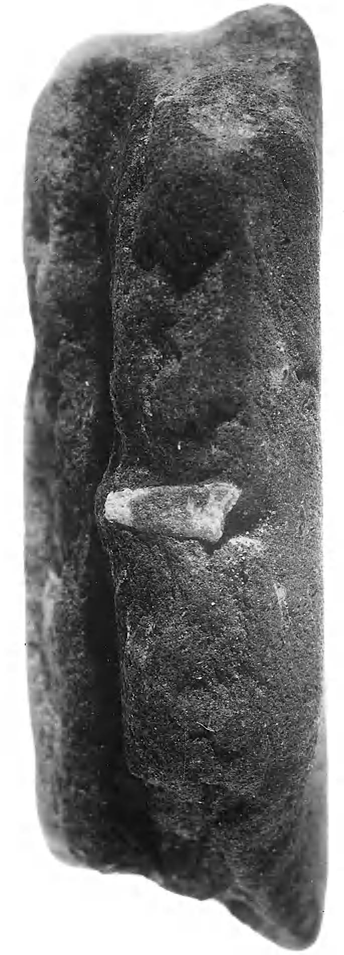 EVALUATIONS AND EXCAVATIONS SOUTH-EAST OF TEWKESBURY 1991 7 65 Fig. 18. Fragment of spear mould with chaplet in situ (scale 5:1). Copyright British Museum.