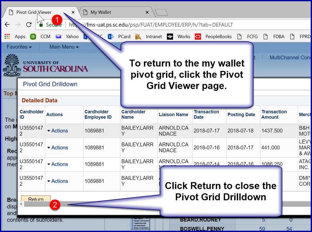 To return to the pivot grid, click the browser page.