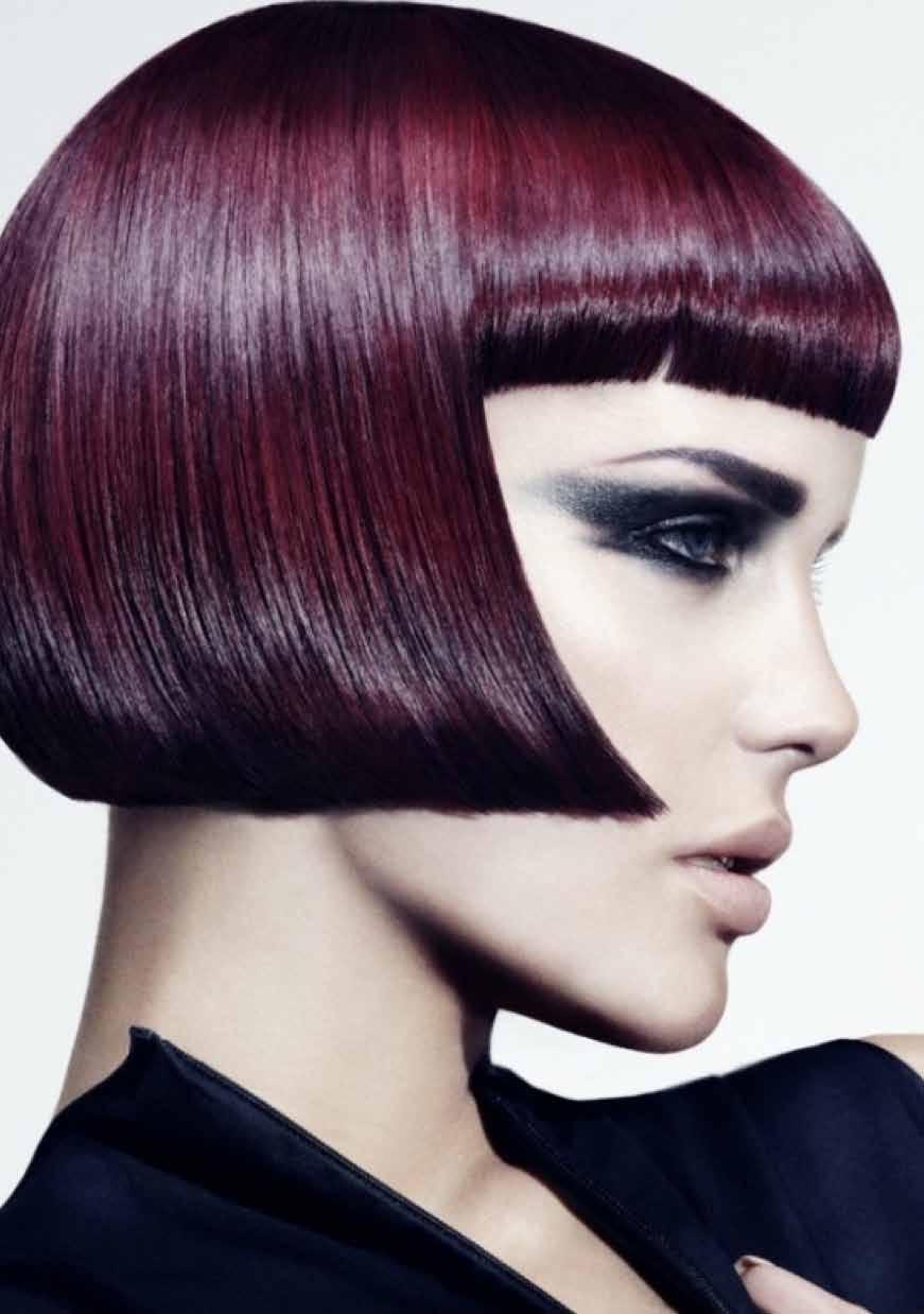 2017 DCI COUrsEs full DaY workshops 1 DaY ClassIC CUTTINg COUrsE This course is designed for hairdressers who are looking for additional structure and control in their work.