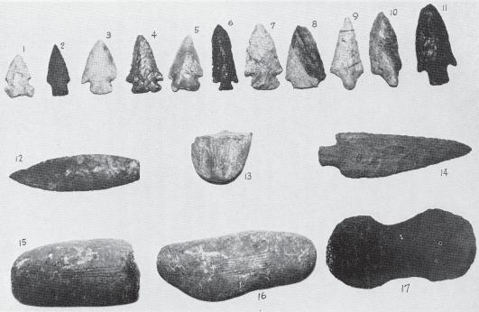 14 Texas Archeological and Paleontological Society No. 12. Fine gray flint, leaf shaped knife, 7-16 inch thick, 5 1-8 inches long, 1 7-16 inches wide.